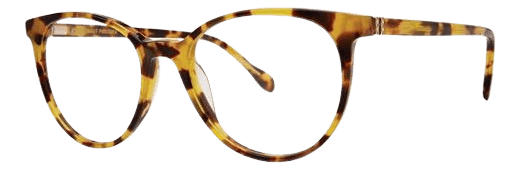 Tokyo Tortoise